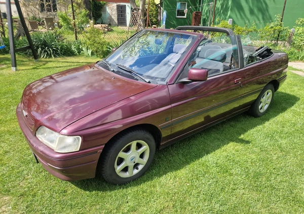 Ford Escort cena 3800 przebieg: 113150, rok produkcji 1993 z Golub-Dobrzyń małe 781